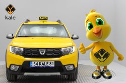 2017 DACİA SANDERO STEPWAY KURULU KİRALIK